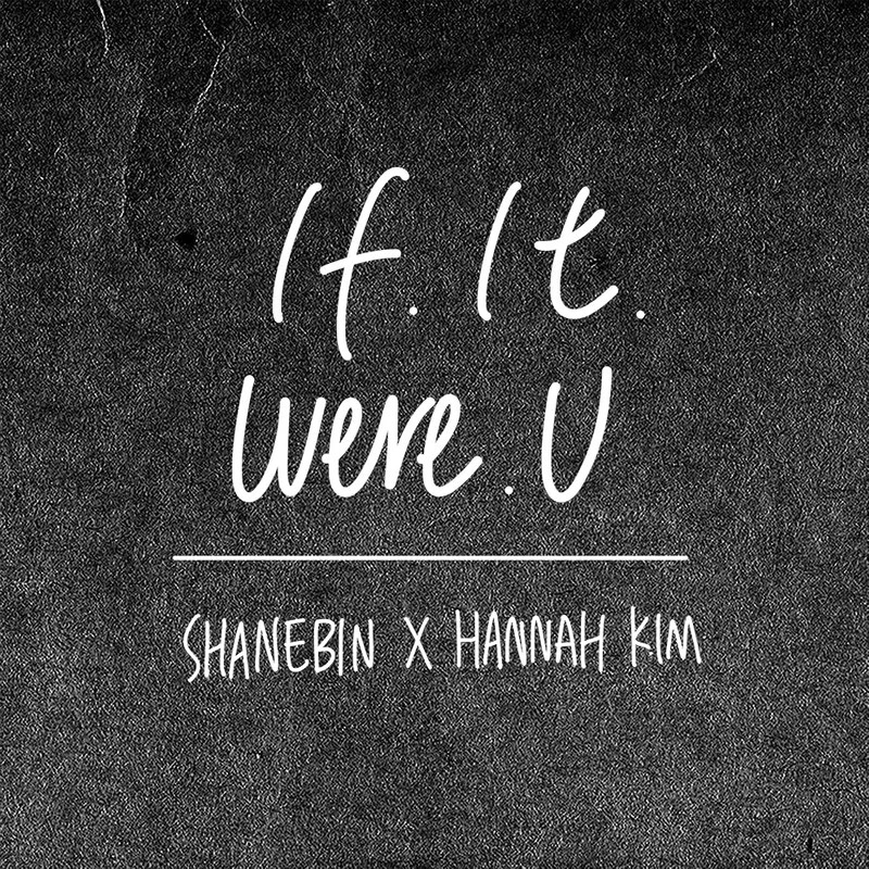 可惜不是你- Single