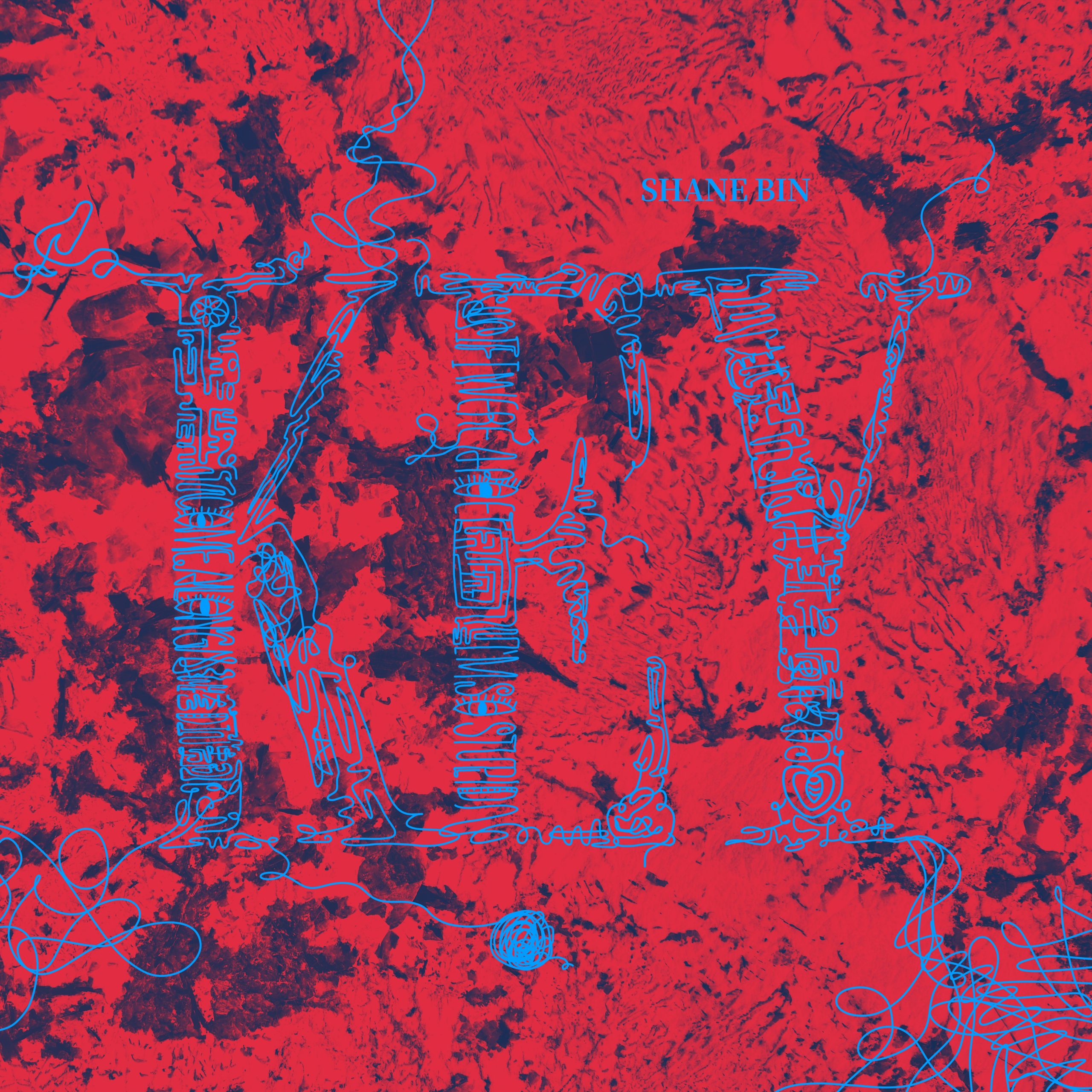 I'm So Stupid -Single